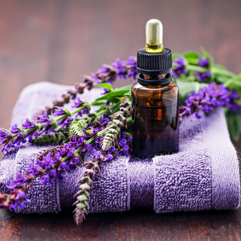 shampoo selber machen rezept rosmarin salbei shampoo gegen schuppen Küchenideen Zum Selber Machen ~ shampoo selber machen rezept rosmarin salbei shampoo gegen schuppen