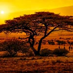 weiter zu - Reiseländer und Reiseziele in Afrika