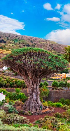 Teneriffa – Sehenswürdigkeiten auf Teneriffa