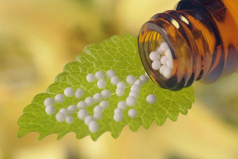 Lycopodium Globuli – Wirkung und Anwendung in der Homöopathie