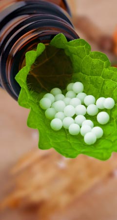 Rhus Toxicodendron Globuli – Wirkung und Anwendung in der Homöopathie