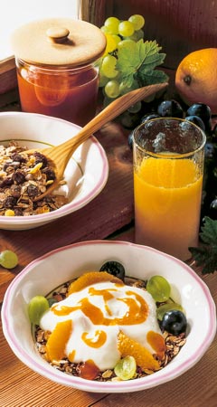 Frühstück - Sanddorn-Orangen-Müsli