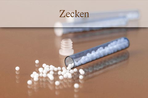 Homöopathie: Globuli bei Zecken