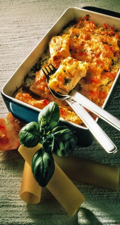 Cannelloni alla Sottentina