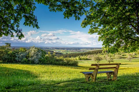 Den Nordschwarzwald entdecken und erleben