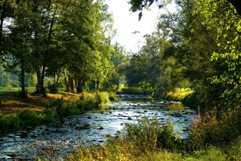 Im Nordschwarzwald die Natur genießen