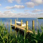 weiter zu - Ringkøbing Fjord entdecken