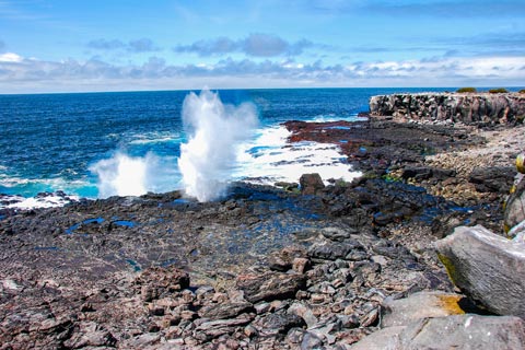 Urlaub auf den Galapagos-Inseln