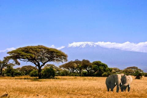 Reiseziele für Urlaub in Kenia