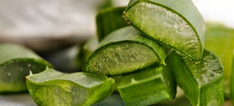 Aloe Vera gegen Akne