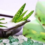 Aloe Vera für Gesicht und Haare