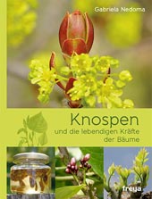 Knospen von Gabriela Nedoma, Freya Verlag