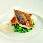 weiter zu Sterneküche - Saibling mit Brennnesselrisotto