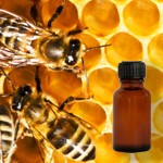 Propolis Tinktur und ihre Wirkung