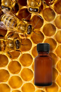 Propolis Tropfen und ihre Wirkung