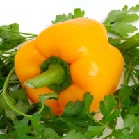 Paprika und seine Wirkung auf die Gesundheit - Heilende Nahrungsmittel Nr. 9: Paprika