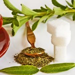 weiter zu - Stevia - Anwendung und Dosierung