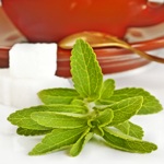 weiter zu - Was ist Stevia