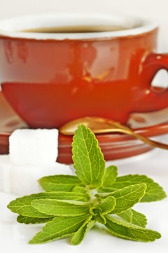 Was ist Stevia?