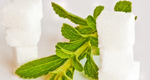 Stevia bei Diabetes