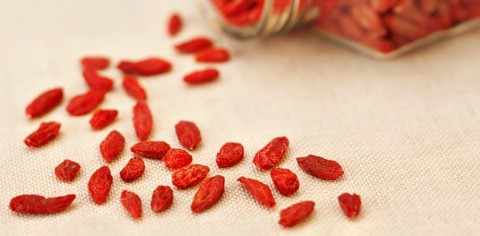 Goji Beeren kaufen oder bestellen