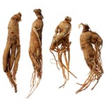 weiter zu - Was ist Ginseng