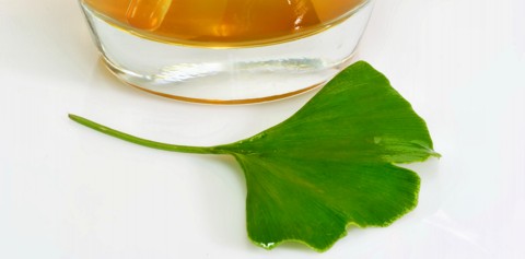 Ginkgo – die Anwendung und Dosierung