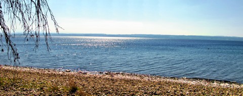 Schöne Badeseen in Deutschland - der Bodensee