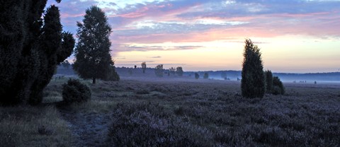 Wellness und Urlaub in der Lüneburger Heide