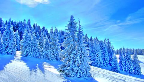 Reiseziele im Dezember - Schwarzwald