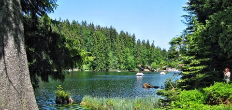 Reiseziele im Mai - Bayerischer Wald