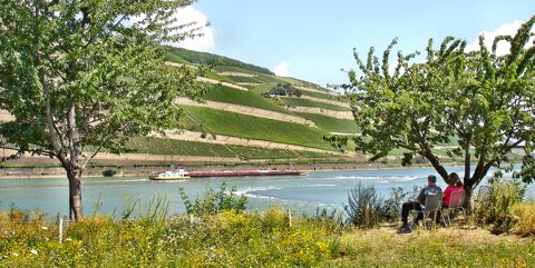 Reiseziele im Oktober - die Pfalz