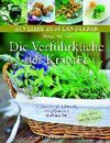 zum Buchtipp - Die Verführküche der Kräuter