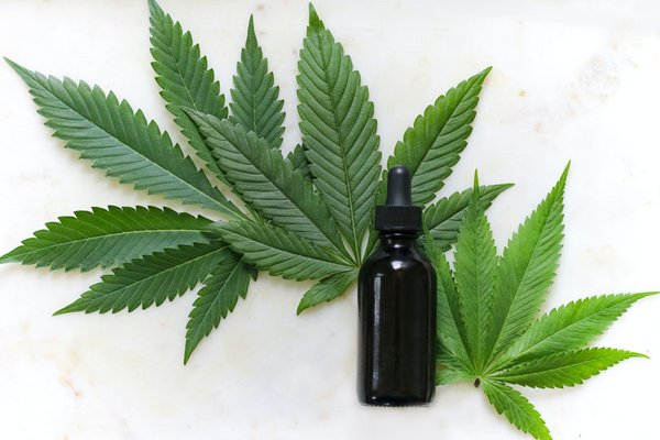 Deutsche Studie: CBD gegen Neurodermitis und Psoriasis – Ein vielversprechender Durchbruch in der Hautpflege