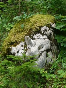 Grün - beruhigt und entspannt