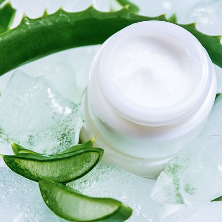 Aloe Vera Lippenpflege selber machen