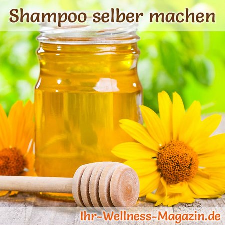 Ei-Zitrus-Honig Shampoo für strapaziertes Haar