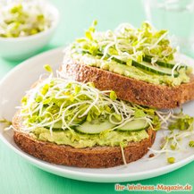 Low-Carb-Brot mit Avocadocreme, Gurken und Sprossen