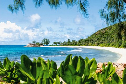 Seychellen-Insel Praslin: Sommer, Sonne, Strand und der azurblaue Ozean