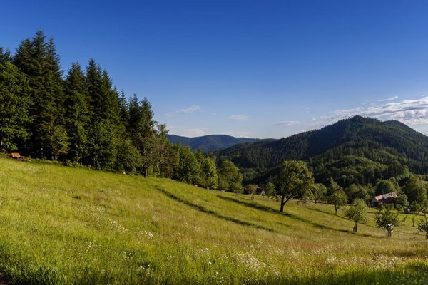 Vorbereitung Ihrer Reise in den Schwarzwald 