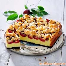 Low Carb Pflaumen-Quarkkuchen mit Streusel 