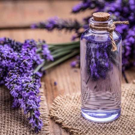 Rum-Lavendel Shampoo für normales Haar