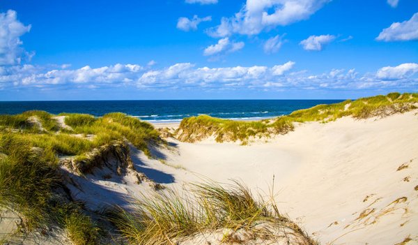 Die Westküste Dänemarks - erholsamer Urlaub im Ferienhaus