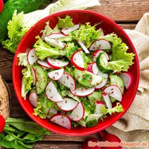 Grüner Salat mit Radieschen und Gurke