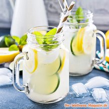 Zitronen-Limetten-Limonade mit Minze