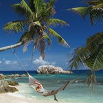 weiter zu Reisen Welt - Urlaub Welt - Seychellen Reisen Urlaub Mauritius