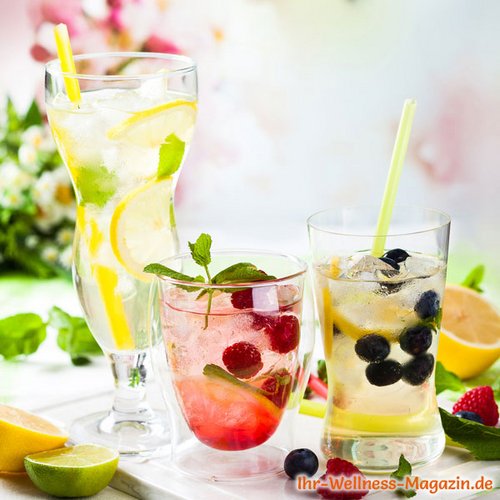 Limonade selber machen - 45 Low-Carb-Rezepte ohne Zucker