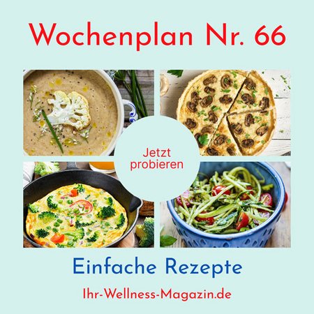 Wochenplan Nr. 66: Rezepte für Zucchini-Spaghetti mit Pesto, Quiche mit Champignons, Paprikasuppe ...