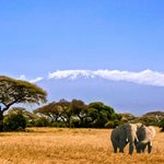 weiter zu - Reiseziele für Urlaub in Kenia