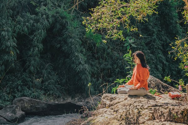 Die Heilkraft der Natur: Natürliche Wege, um mit Stress umzugehen und sich zu entspannen